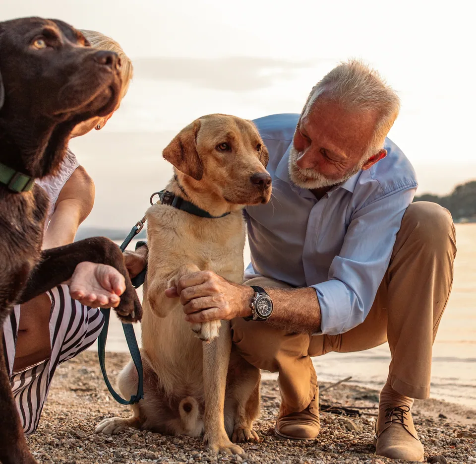 Calming the Storm Within: How to Soothe Your Anxious Pet