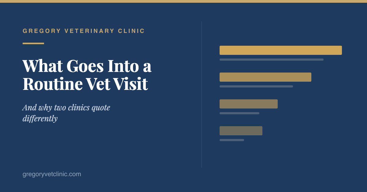 What Goes Into a Routine Vet Visit in Tampa, and Why It Varies