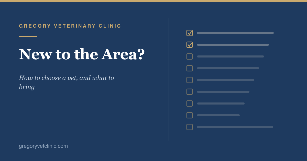 New to the Area? How to Choose a Vet, and What to Bring