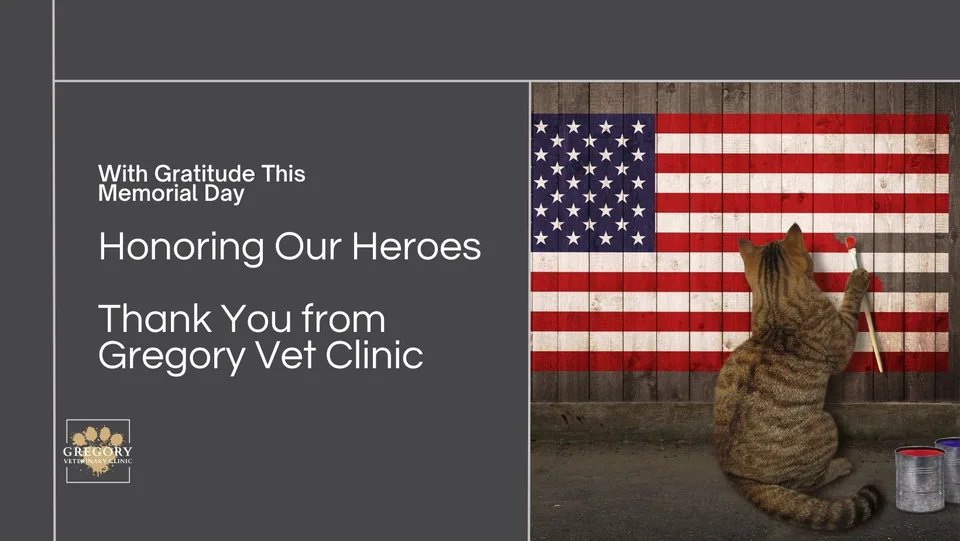 Honoring Our Heroes: Memorial Day at Gregory Vet Clinic Tampa