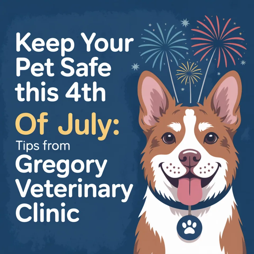 Pet 4th of July Safety: Tips from Gregory Veterinary Clinic in Tampa