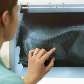 Radiography