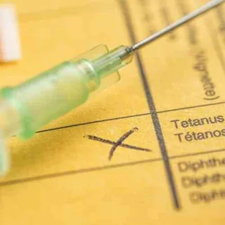 Health Certificates
