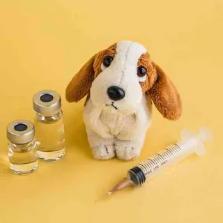 Vaccinations